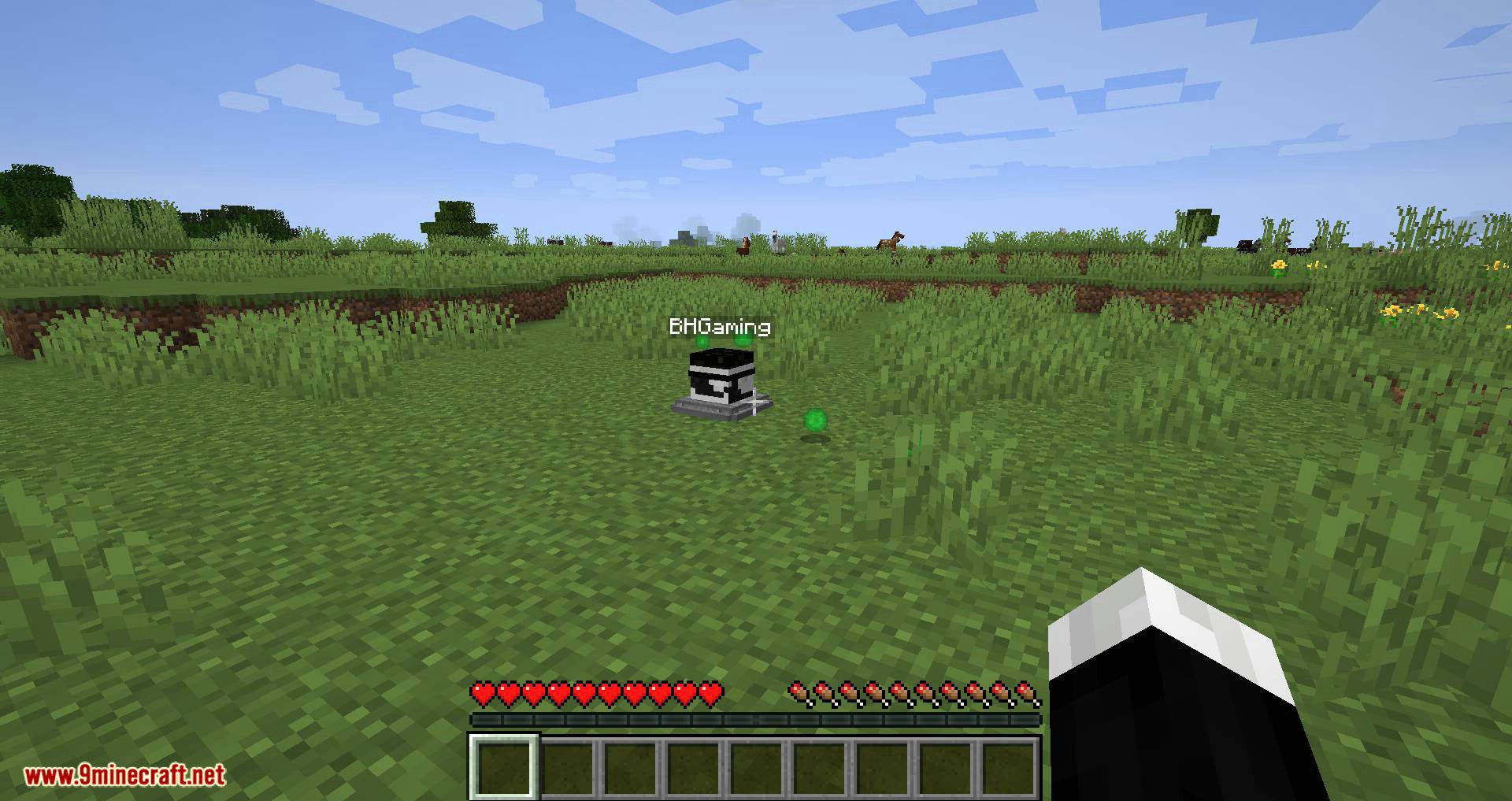 Better Graves mod for minecraft 10