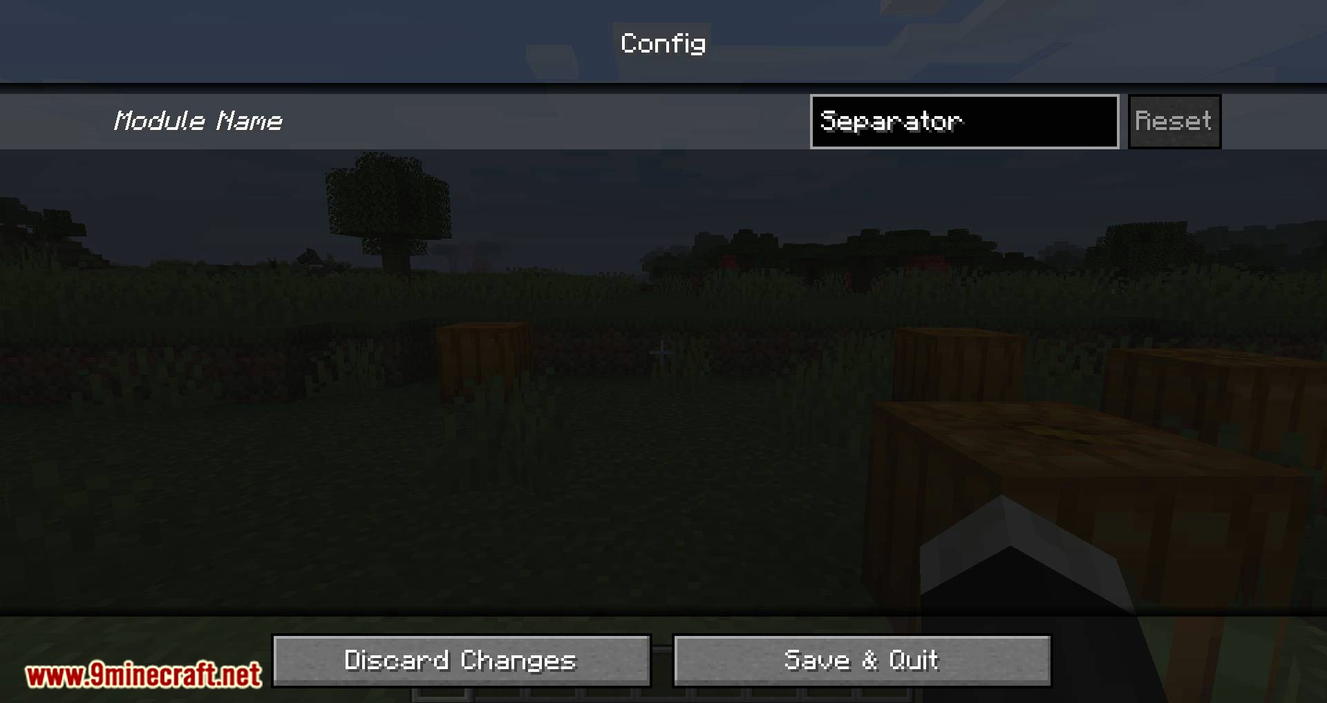 BetterF3 mod for minecraft 07