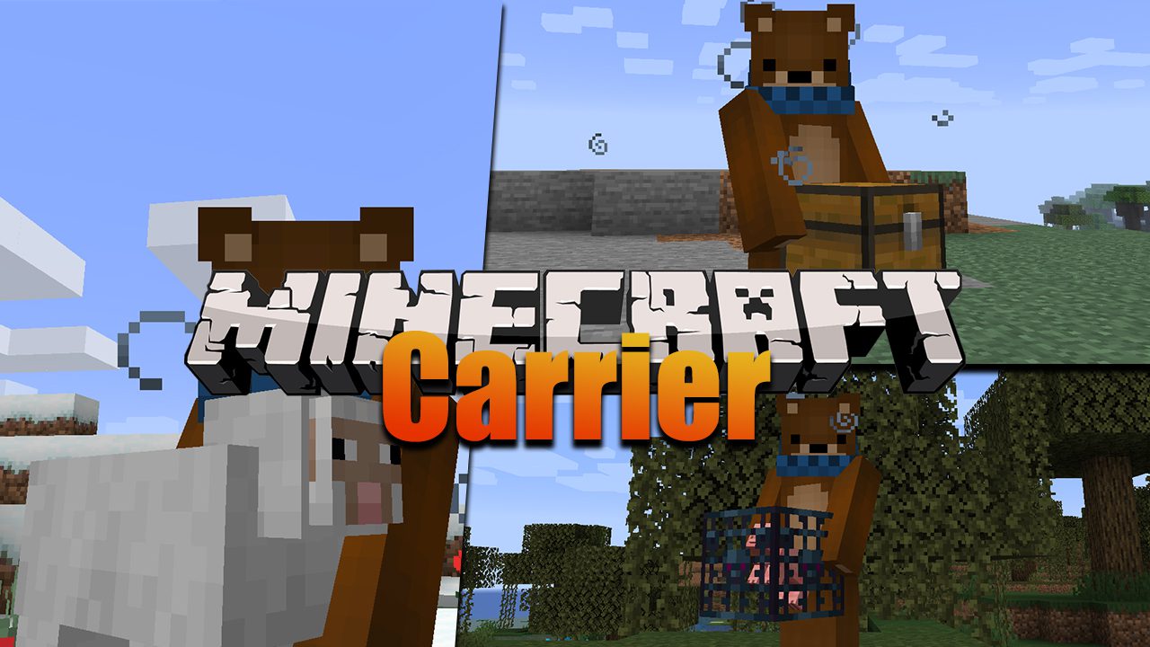Carrier Mod