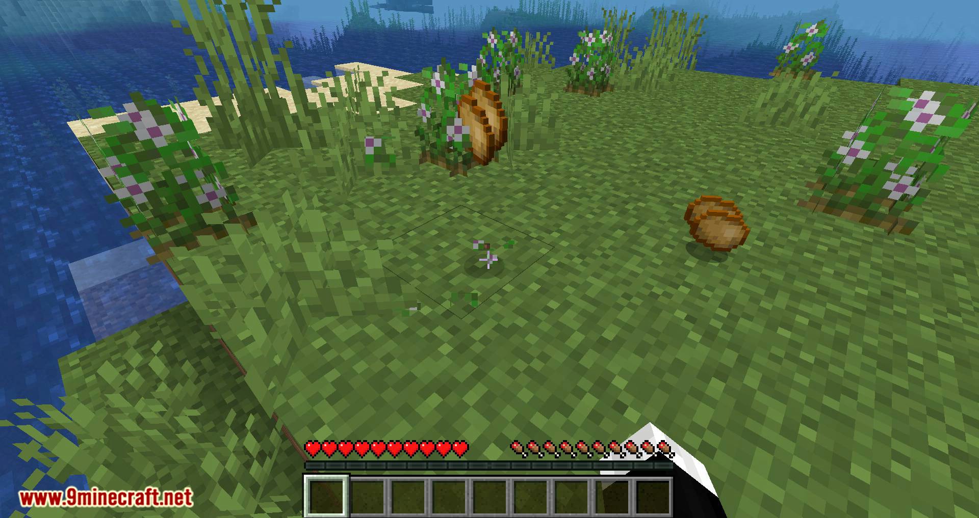 Enhanced Vanilla mod for minecraft 01