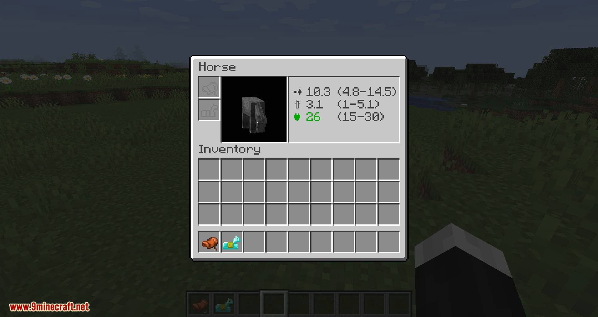 Horse Stats Vanilla mod for minecraft 03