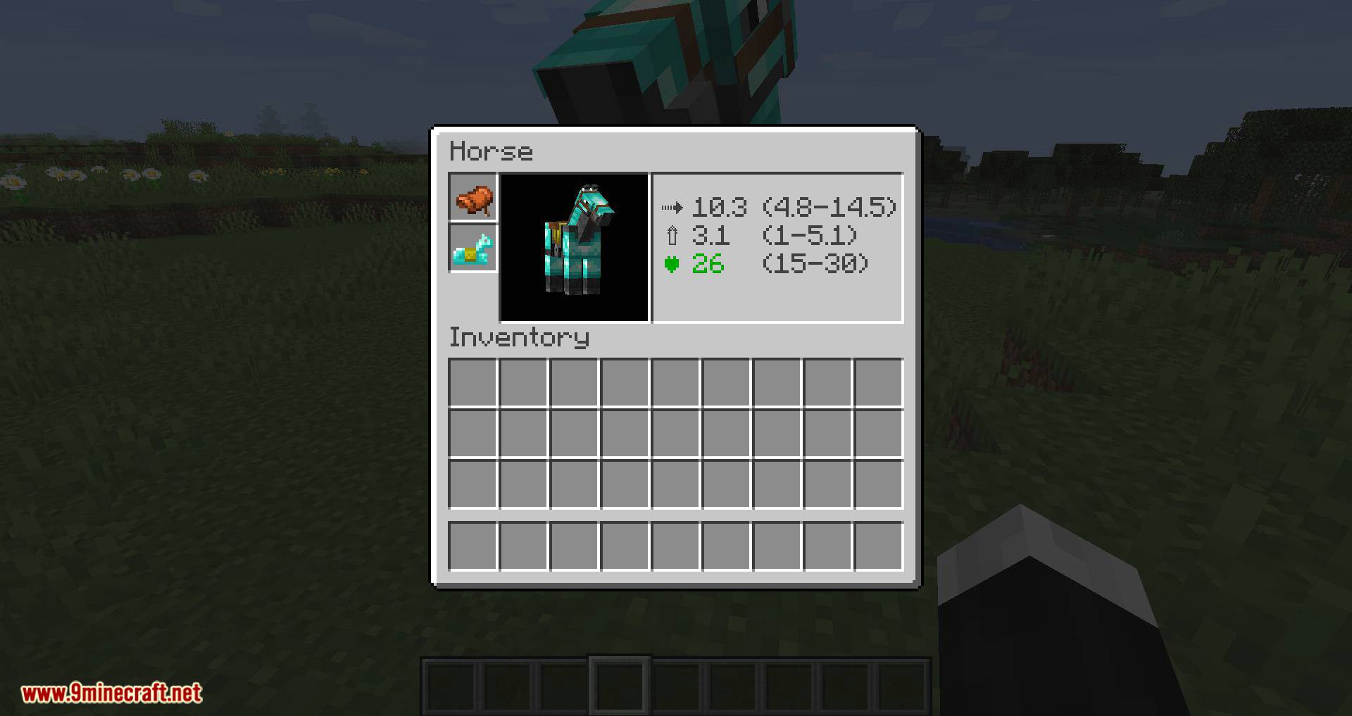 Horse Stats Vanilla mod for minecraft 04