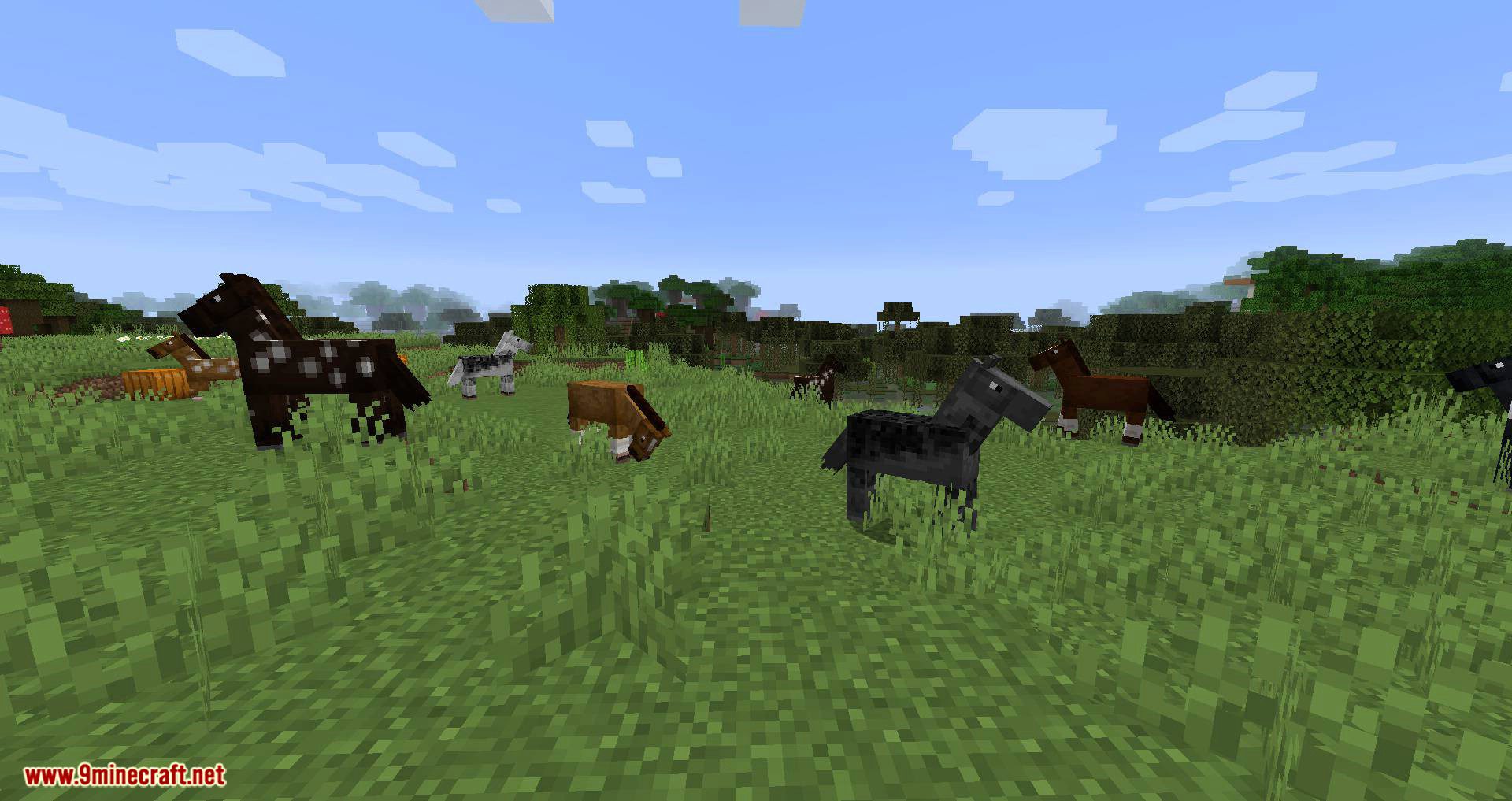 Horse Stats Vanilla mod for minecraft 11