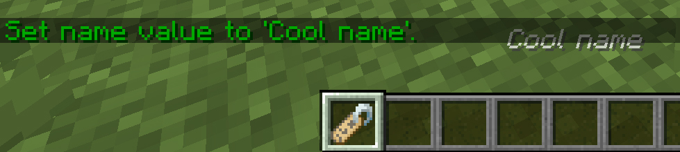 Name Tag Tweaks mod for minecraft 24
