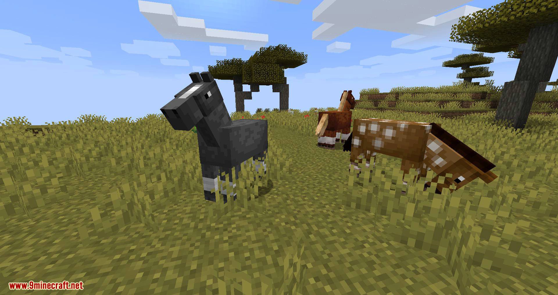 Stupid Horse Stand Still mod for minecraft 01