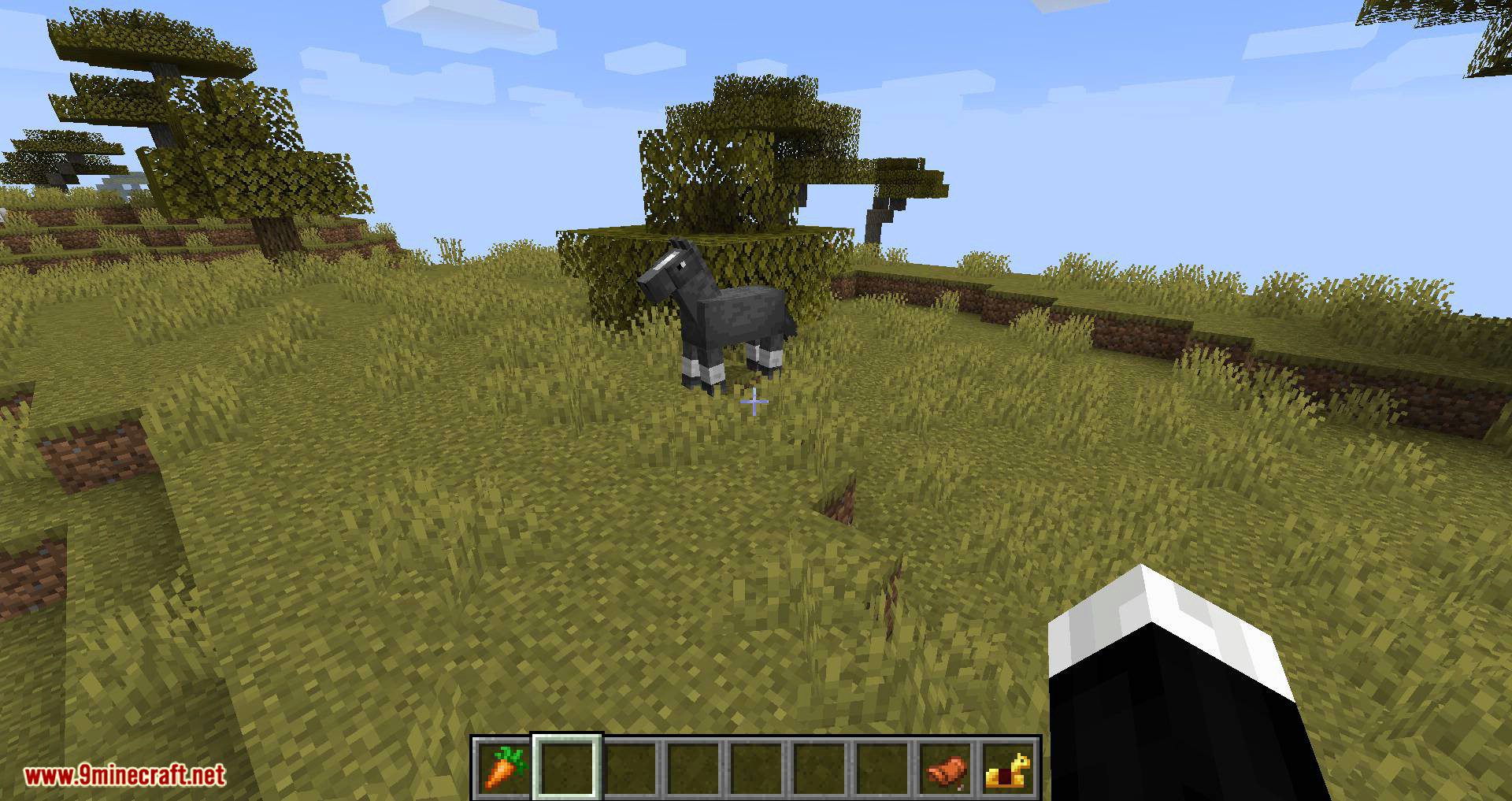 Stupid Horse Stand Still mod for minecraft 13