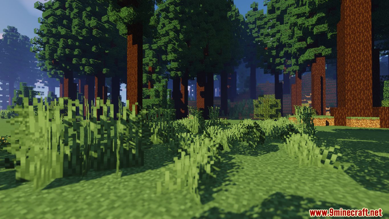 A Day in the Forest Map Screenshots (1)