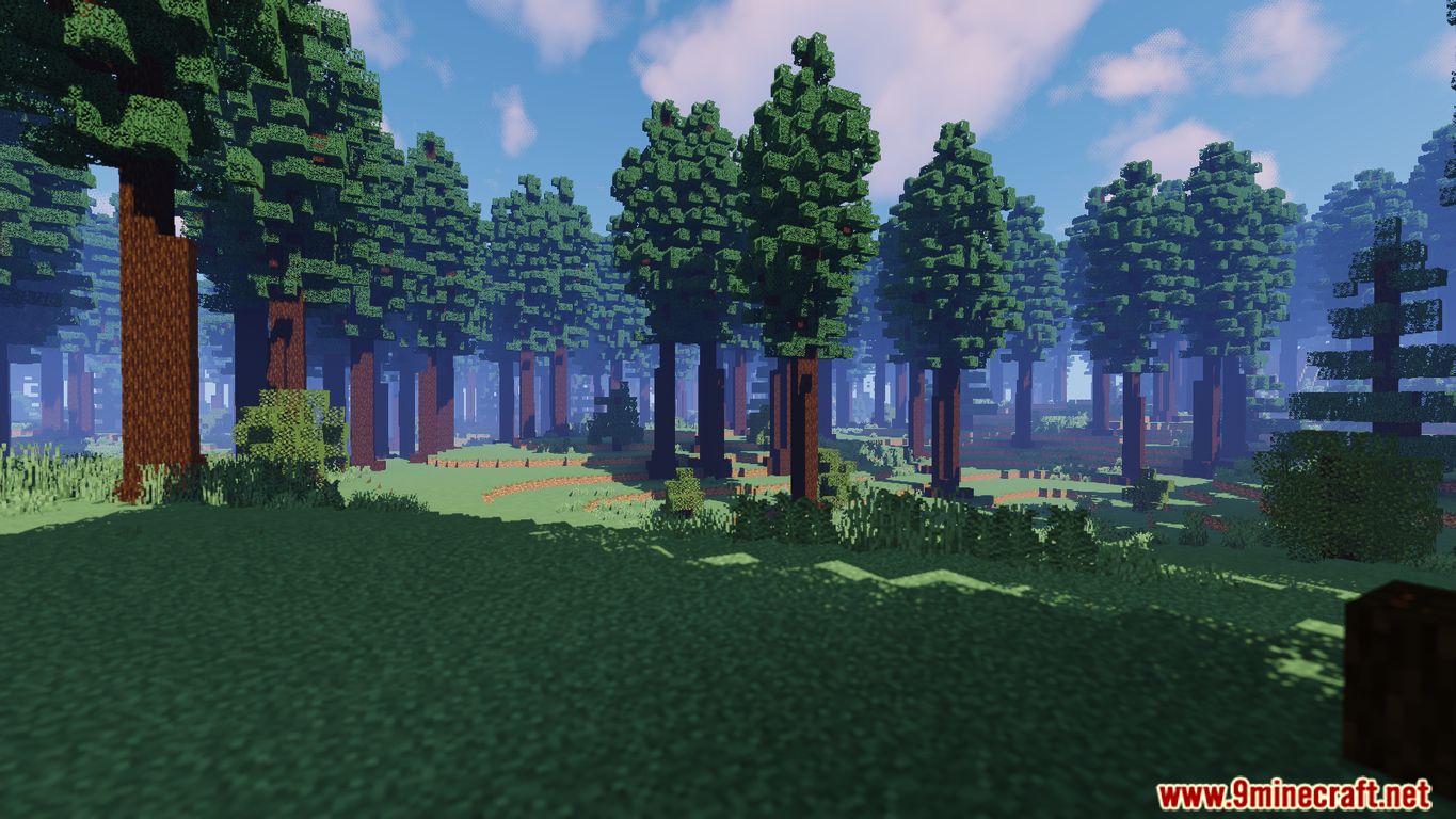 A Day in the Forest Map Screenshots (10)