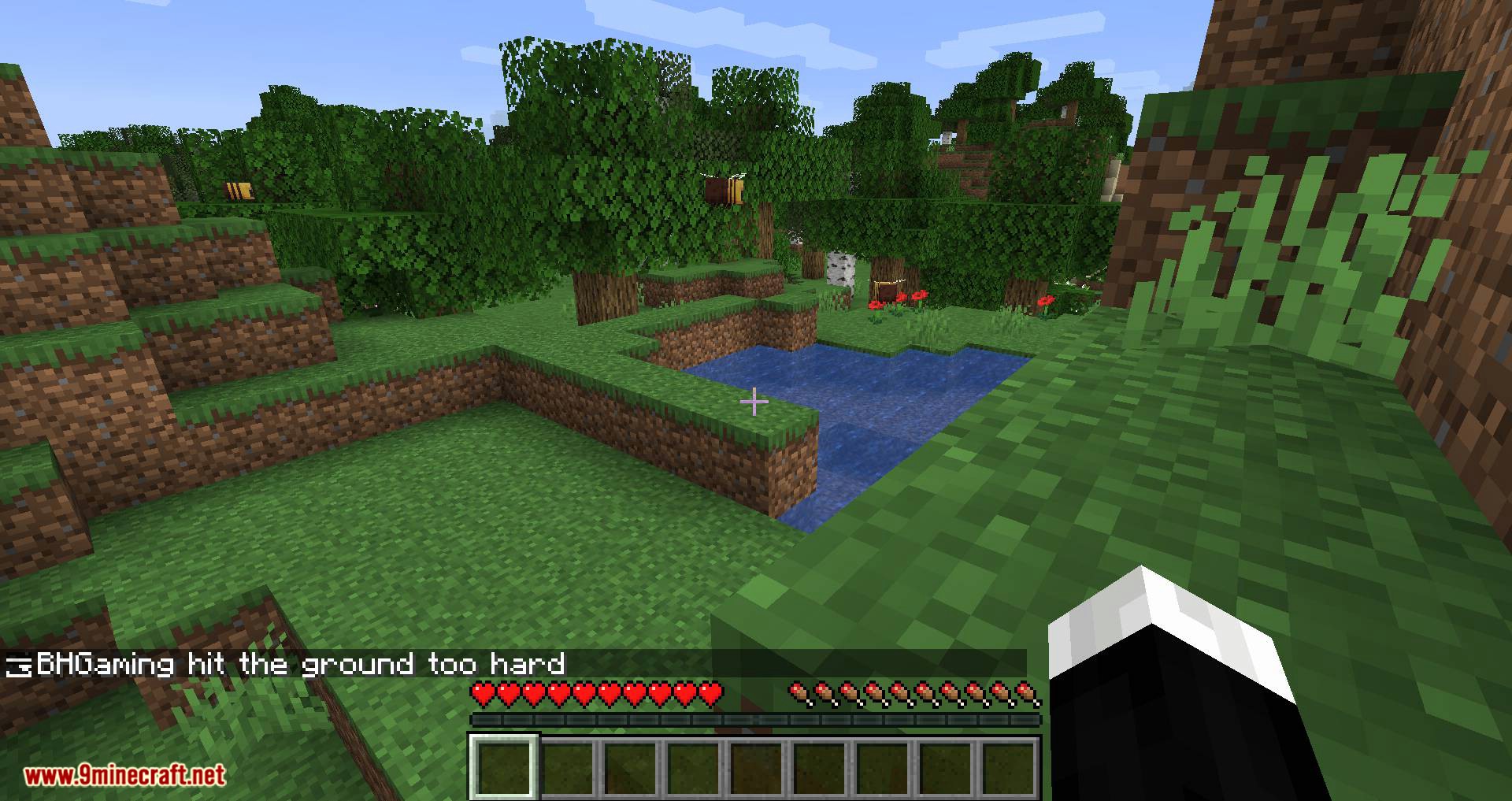 Chat Heads mod for minecraft 10