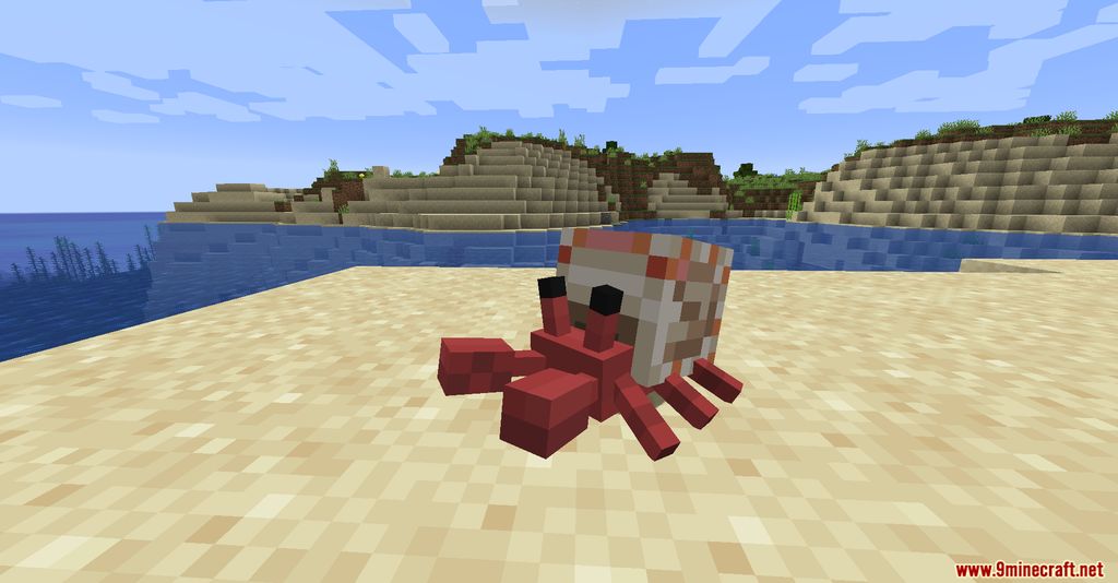 Cute Hermit Crabs Mod Screenshots 1