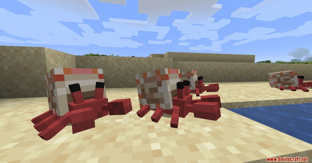 Cute Hermit Crabs Mod Screenshots 2