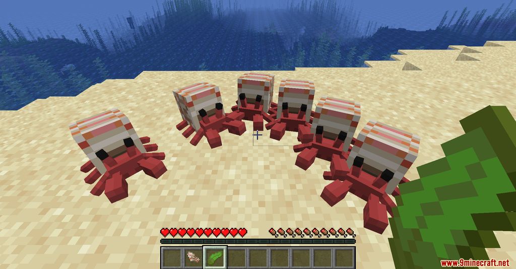 Cute Hermit Crabs Mod Screenshots 3