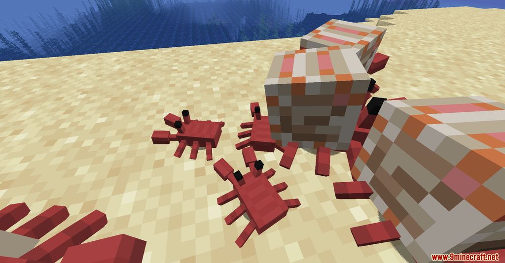 Cute Hermit Crabs Mod Screenshots 7