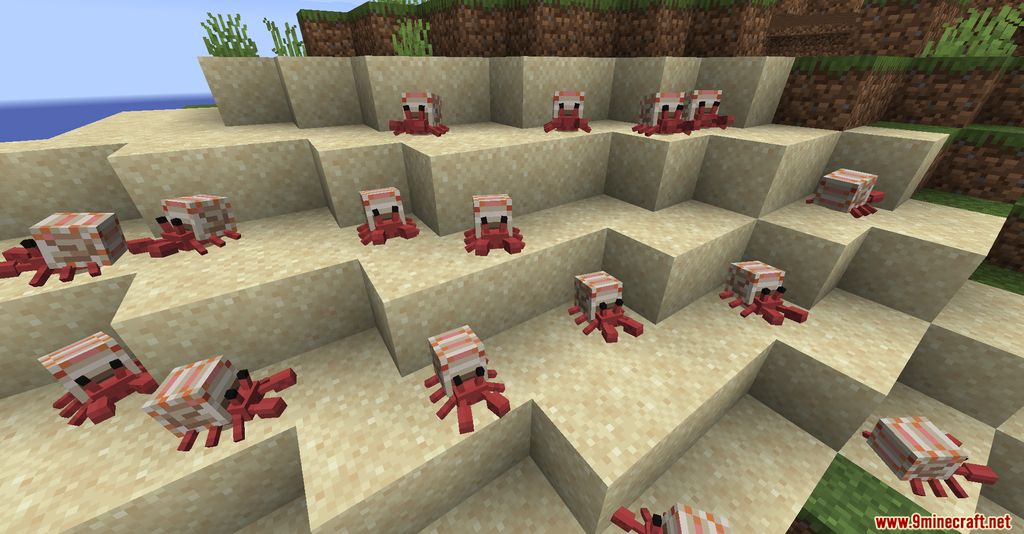 Cute Hermit Crabs Mod Screenshots 8