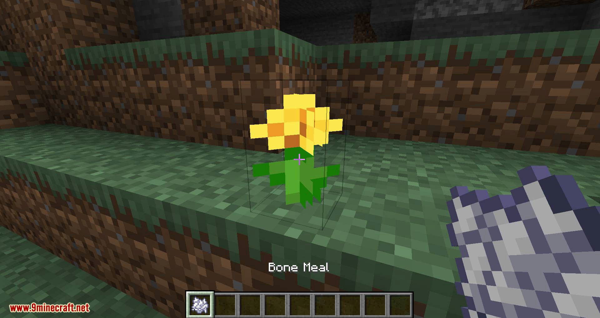 Flora Doubling mod for minecraft 04