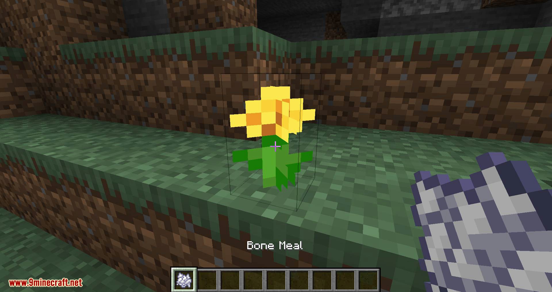 Flora Doubling mod for minecraft 04