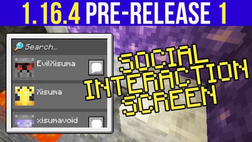 Minecraft 1.16.4 Pre-Release 1