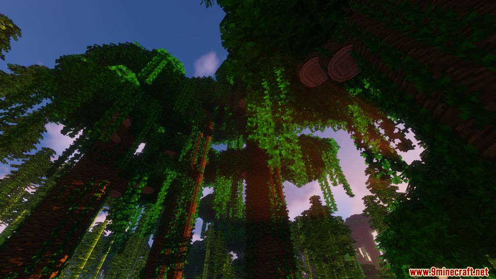 Petter Foliage Resource Pack 6