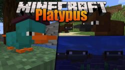 Platypus Mod