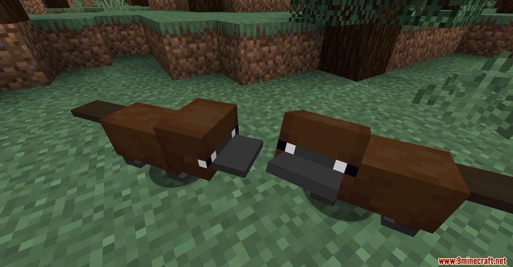 Platypus Mod Screenshots 1