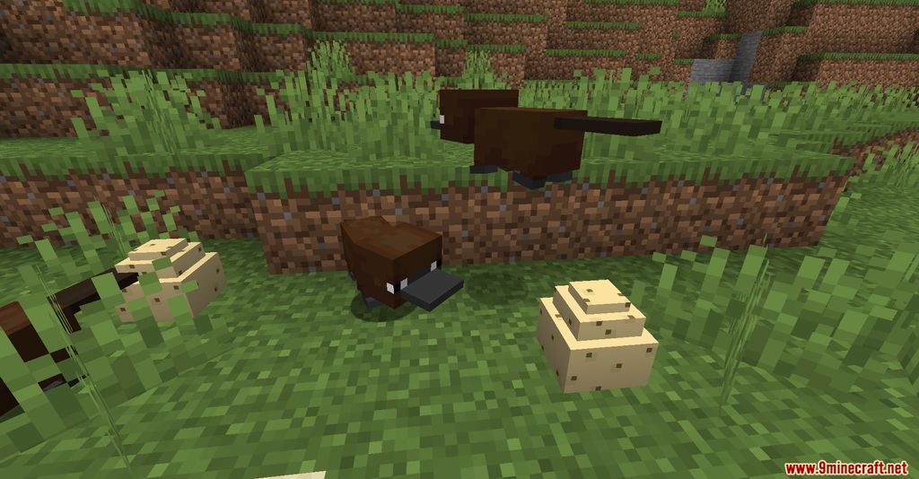 Platypus Mod Screenshots 4