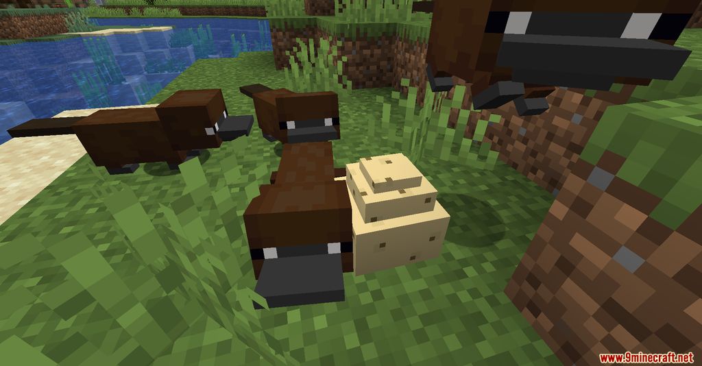 Platypus Mod Screenshots 9