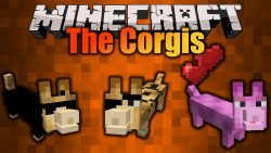 The Corgis Mod