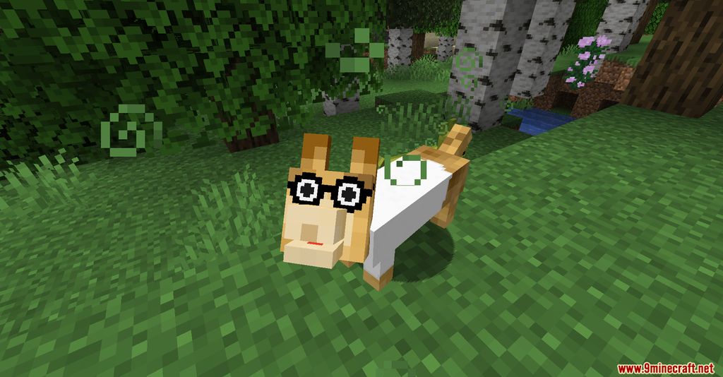 The Corgis Mod Screenshots 5