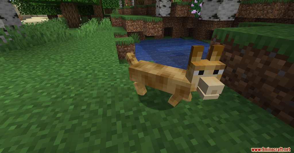 The Corgis Mod Screenshots 6