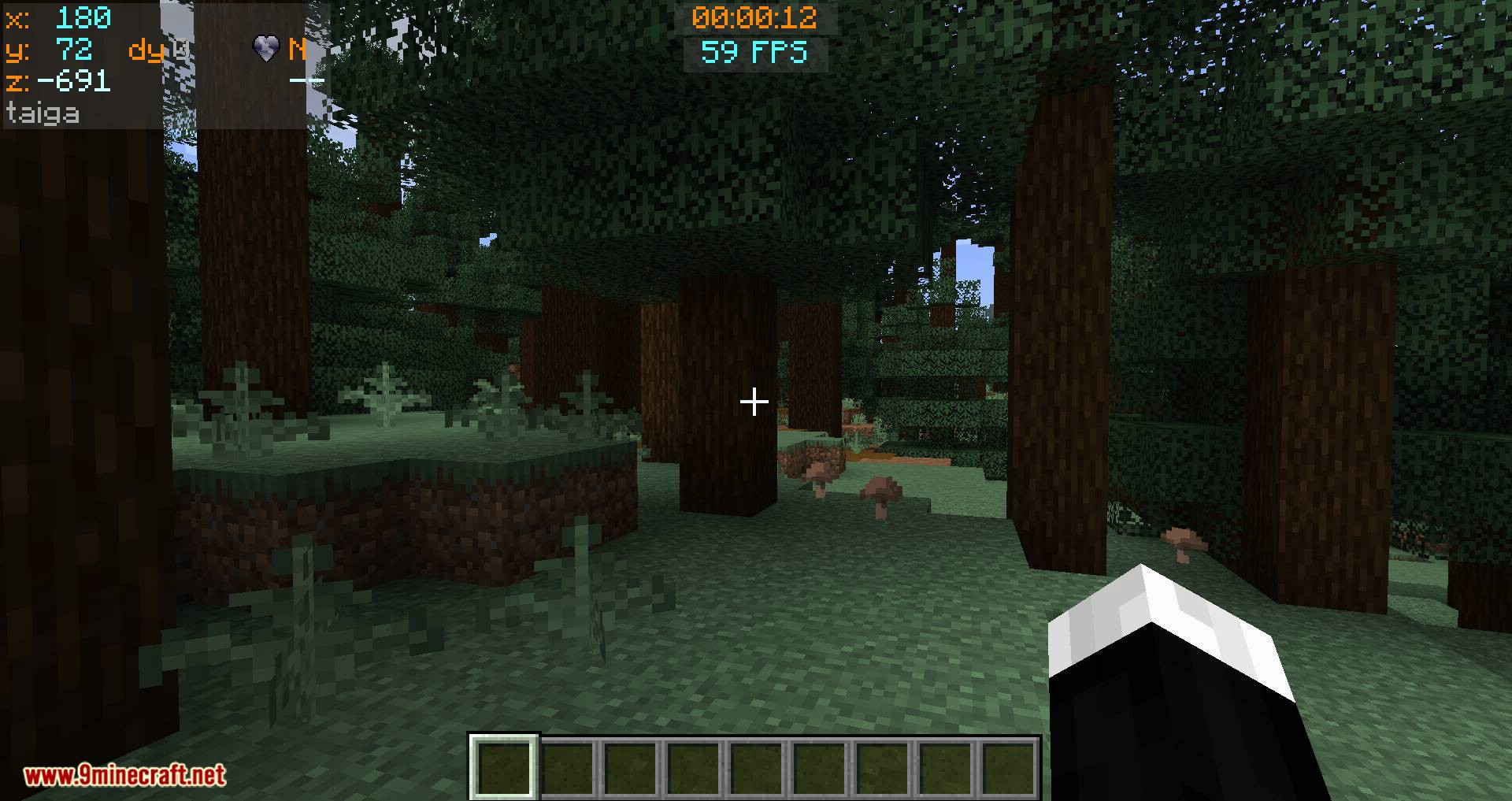 Batty_s Coordinates PLUS mod for minecraft 07