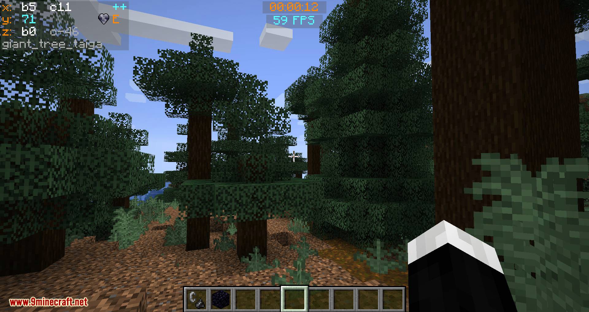 Batty_s Coordinates PLUS mod for minecraft 09