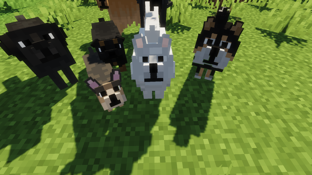 Better Dogs Resource Pack (1.20.2, 1.19.4) - Texture Pack - 9Minecraft.Net