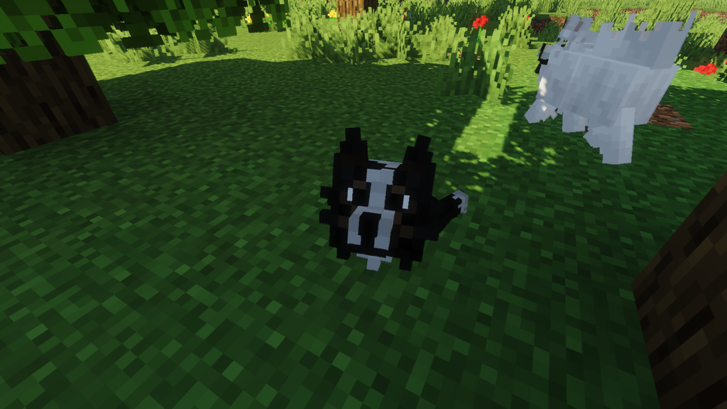 Better Dogs Resource Pack Screenshots 6