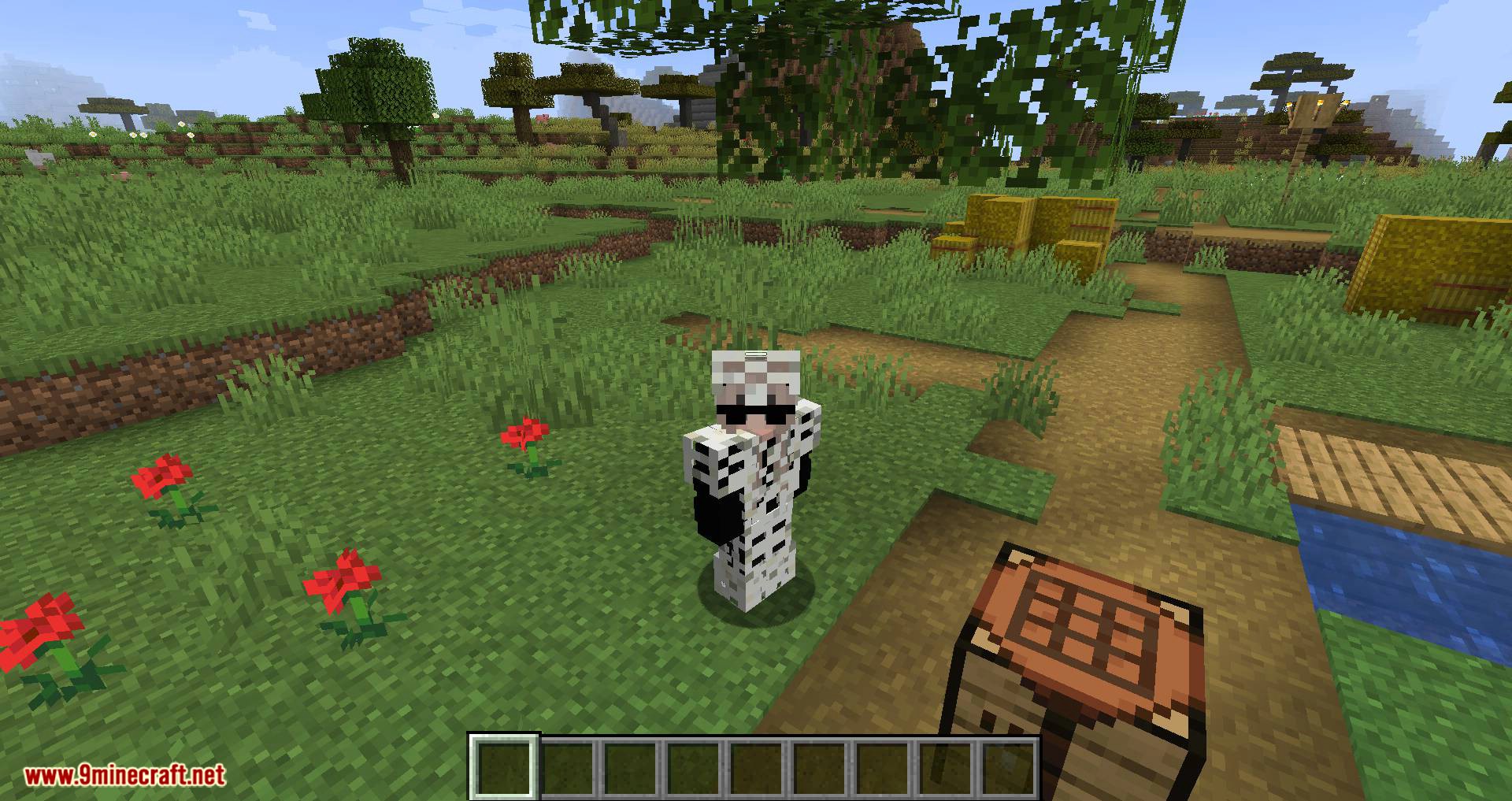 Extra Armor mod for minecraft 05