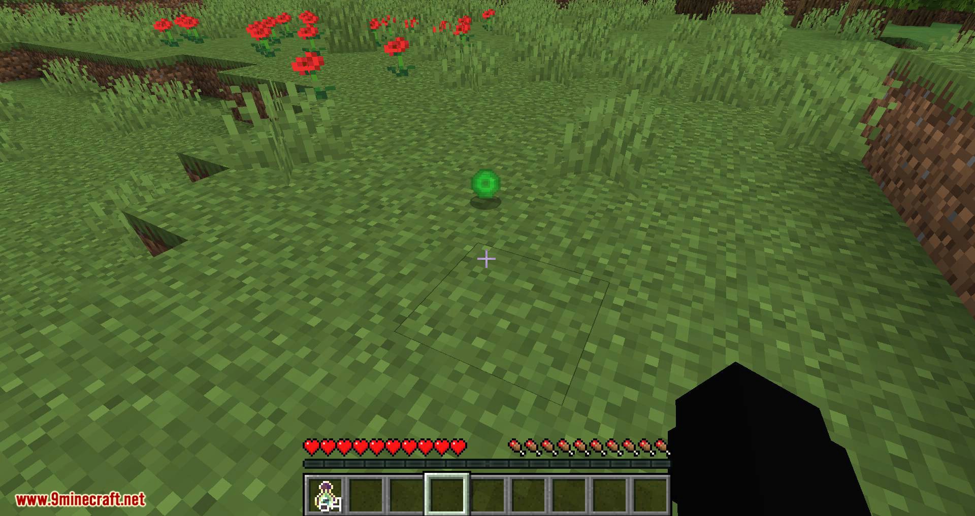 Fat Experience Orbs mod for minecraft 06