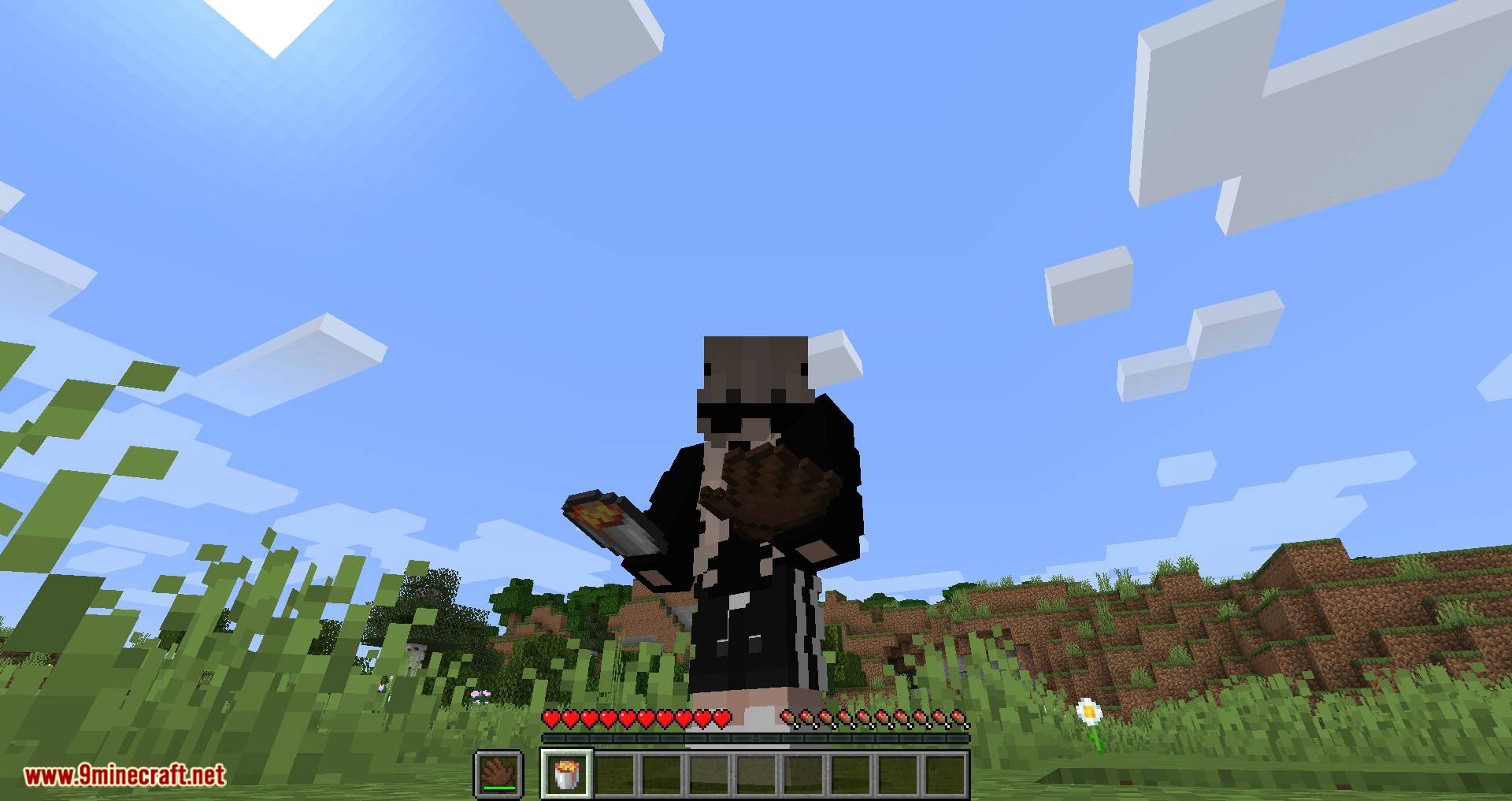 Hot or Not mod for minecraft 12