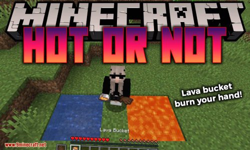 Hot or Not mod for minecraft logo