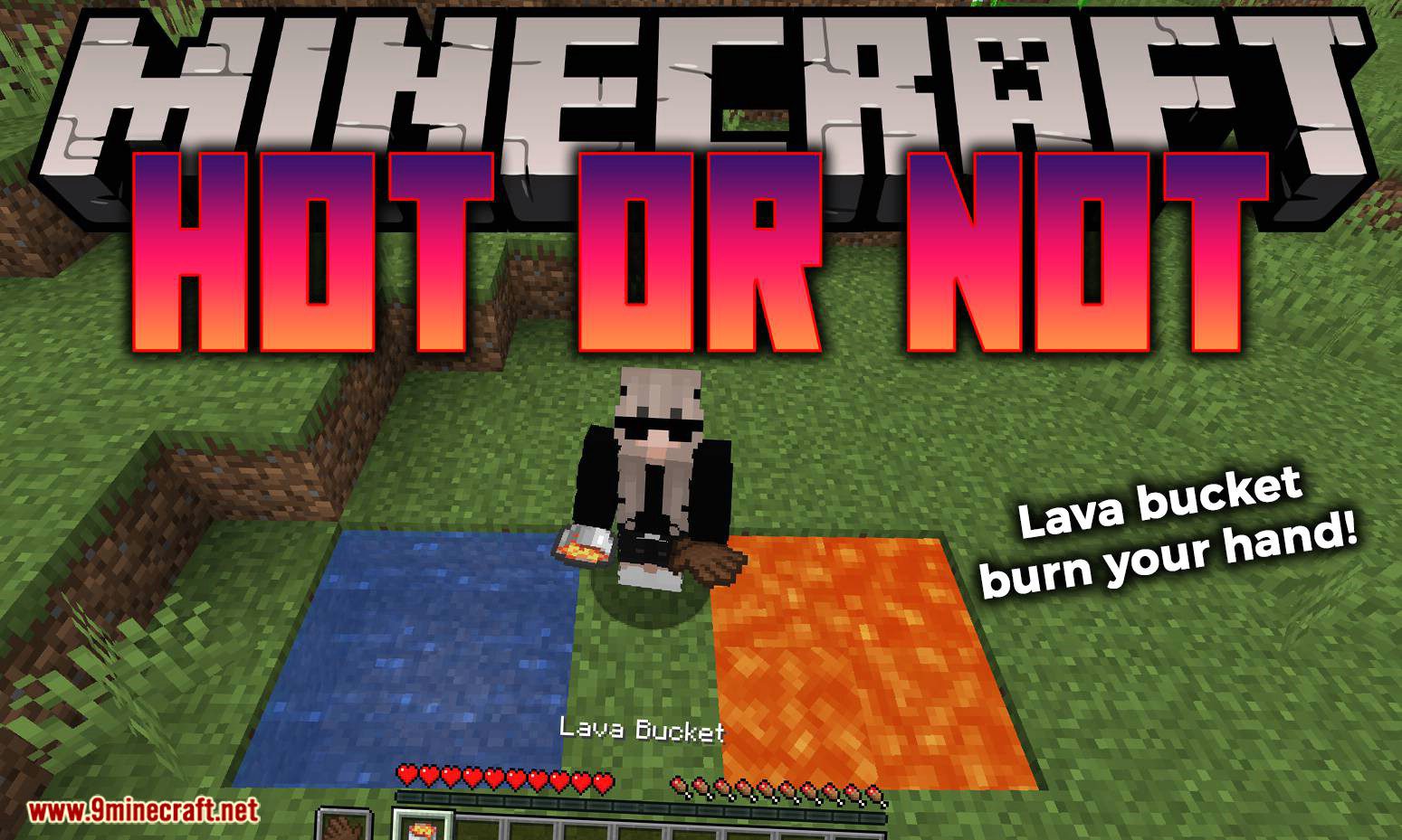 Hot or Not mod for minecraft logo