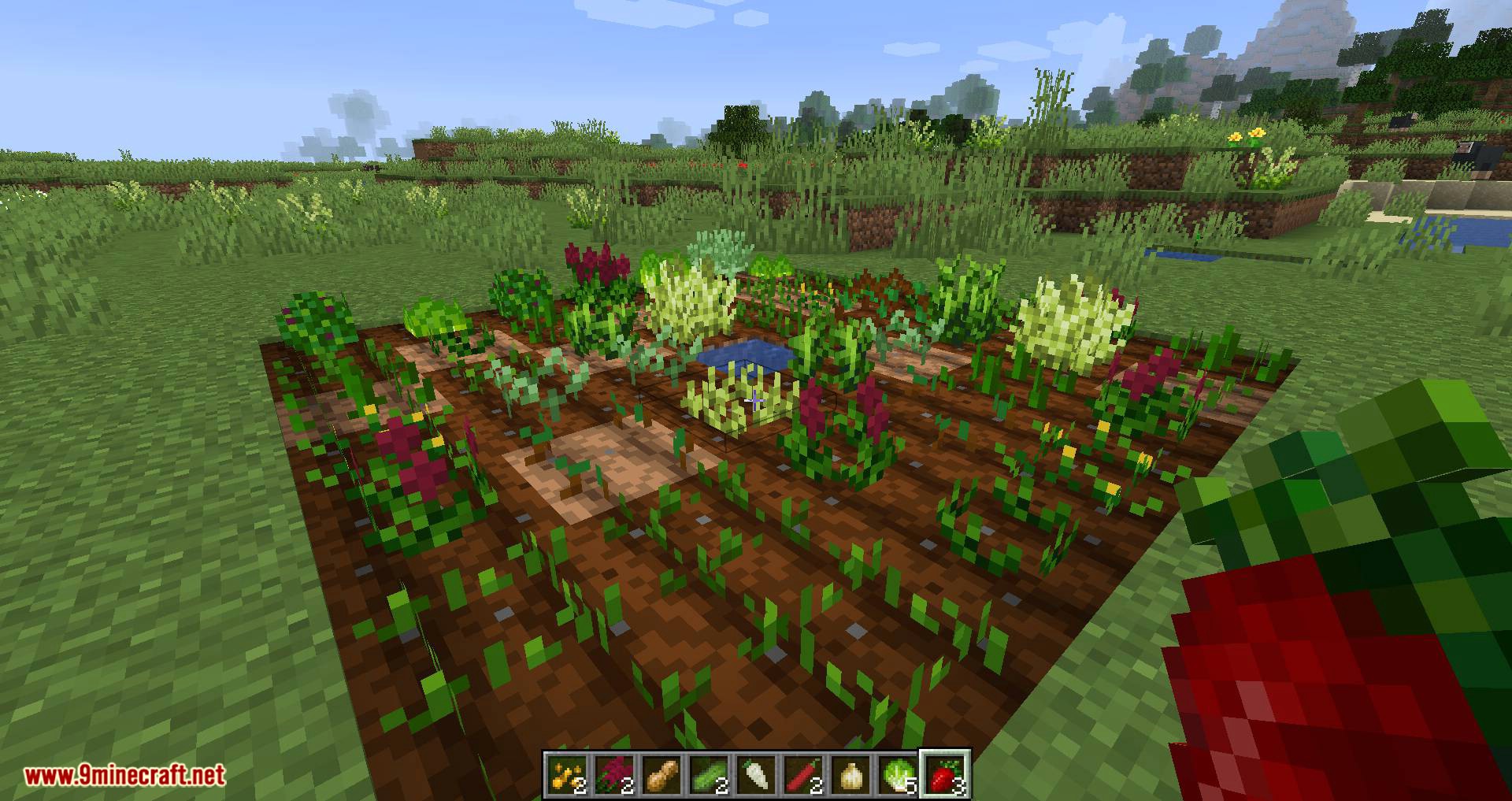 Pam_s HarvestCraft 2 – Crops mod for minecraft 04