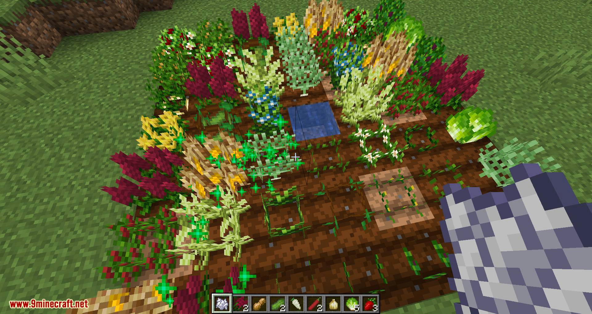 Pam_s HarvestCraft 2 – Crops mod for minecraft 05