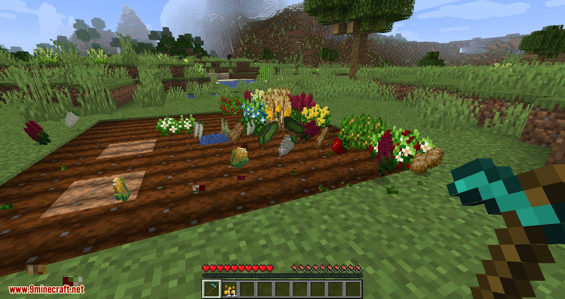 Pam_s HarvestCraft 2 – Crops mod for minecraft 07