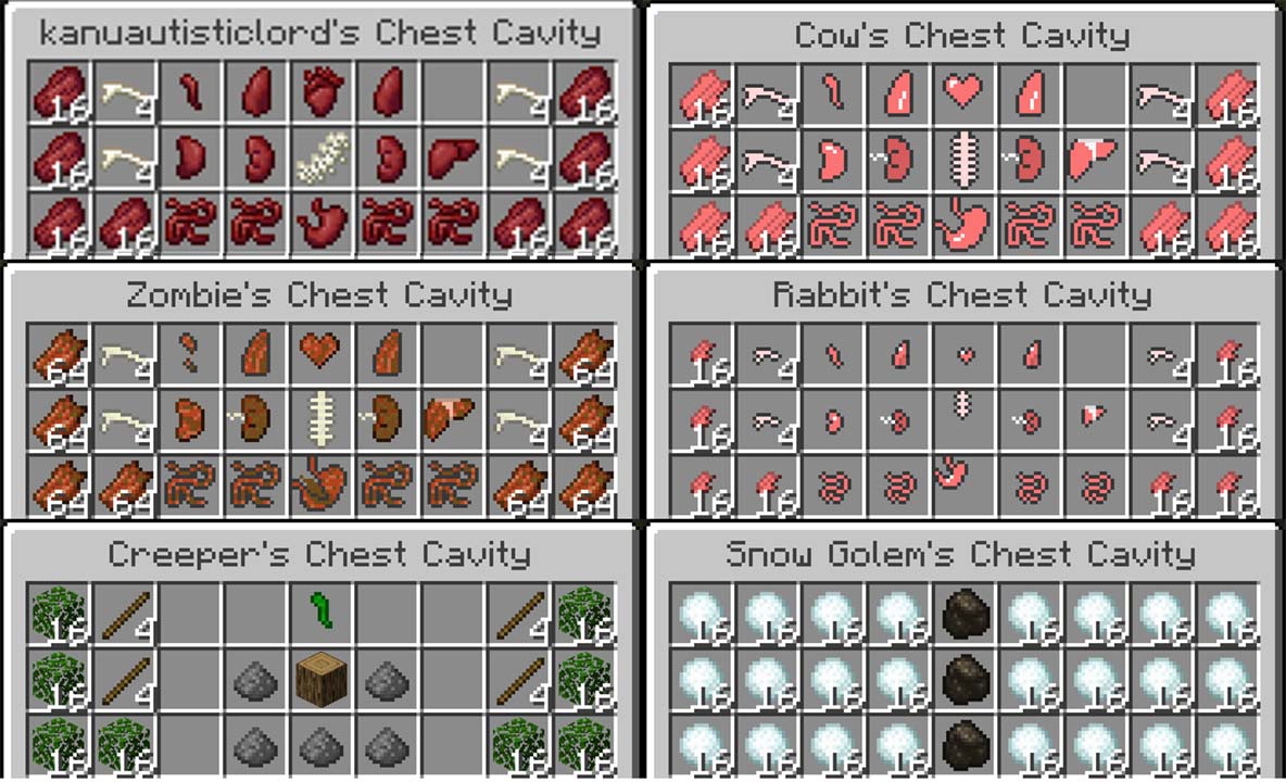 Chest Cavity Mod Screenshots 1