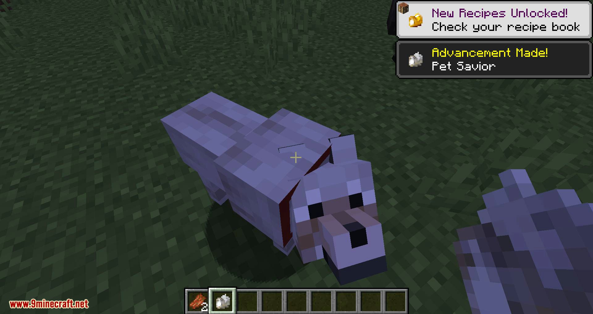 Save your pets mod for minecraft 07