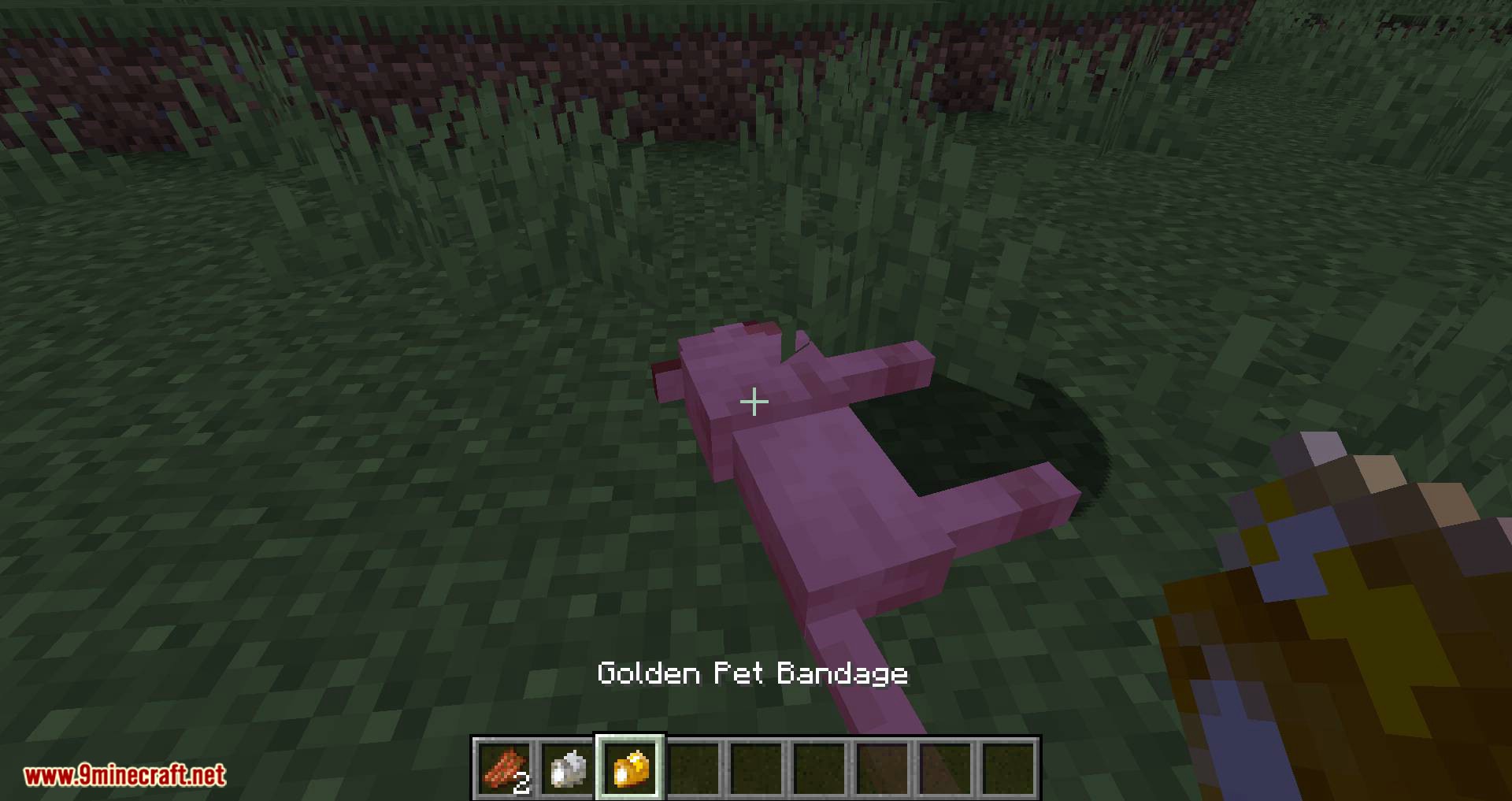 Save your pets mod for minecraft 08
