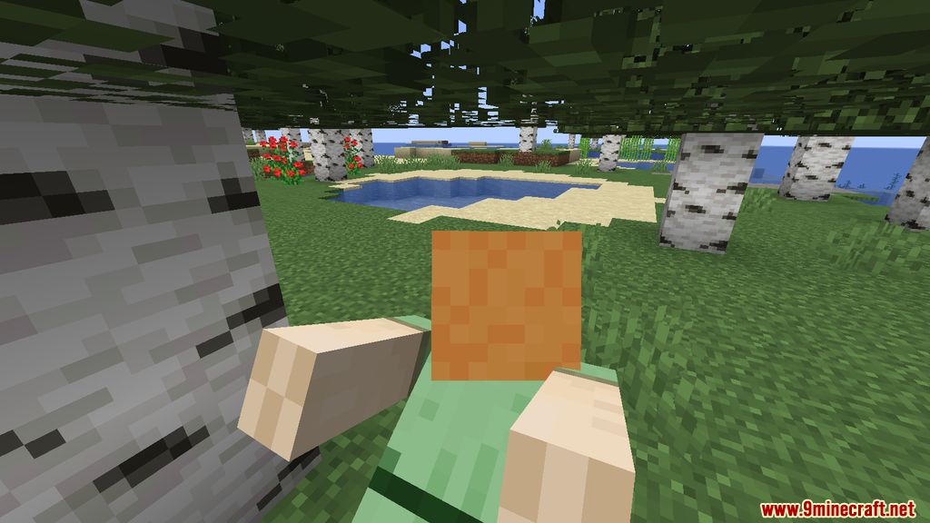 Not Enough Animations Mod for Minecraft 1.16.5