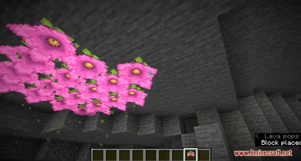 1.17 Snapshot from Minecraft's leaked Melon Update : r/Minecraft