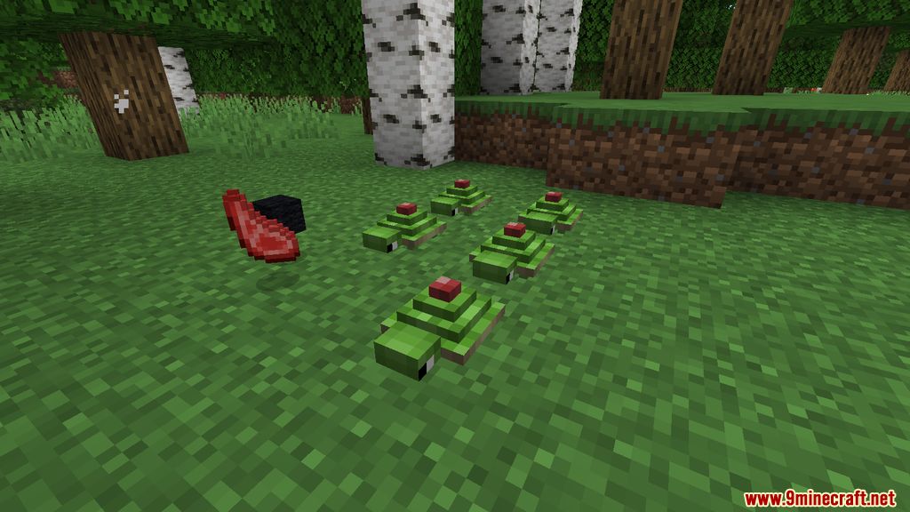 Turtlemancy Mod Screenshots 7