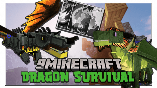 Dragons Survival Mod