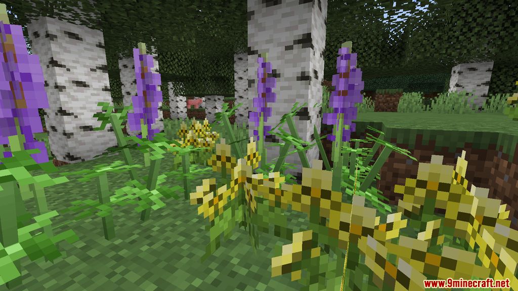 Serene Shrubbery Mod Screenshots 2