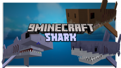Shark Mod